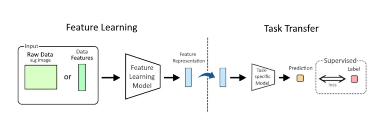 Where the Model Ends and the Mirage Begins: Diagnosing Transfer Failure in Machine Learning Systems